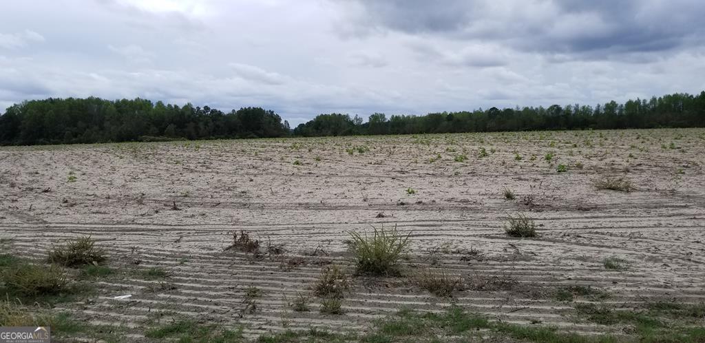 0 Red Oak Road Baxley, GA 31513 - Photo 1 of 1 a view of lake