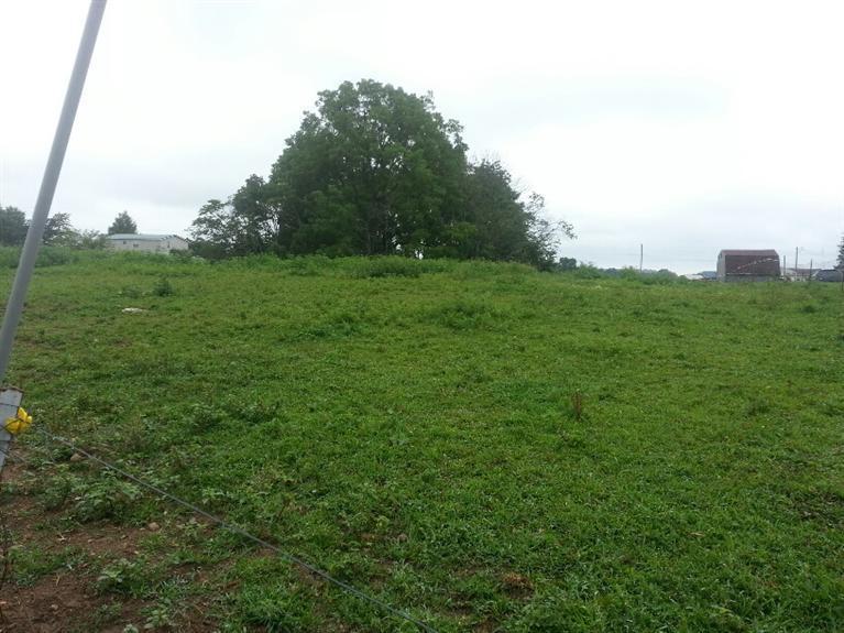 7 Puncheon Creek Road Science Hill, KY 42553 - Photo 4 of 6 Additional Photo
