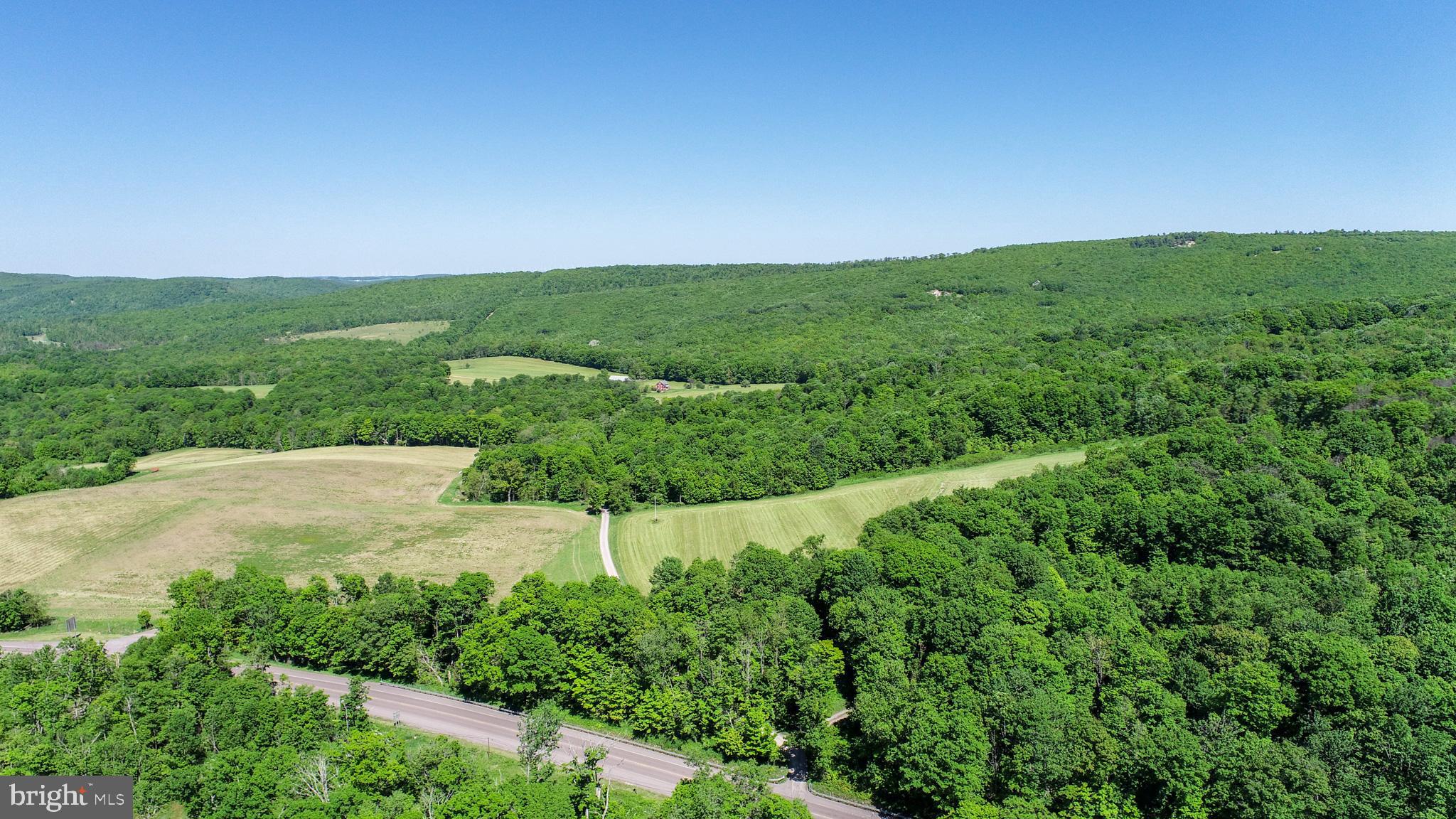 5-acres Chestnut Ridge Road Grantsville, MD 21536 - Photo 10 of 16