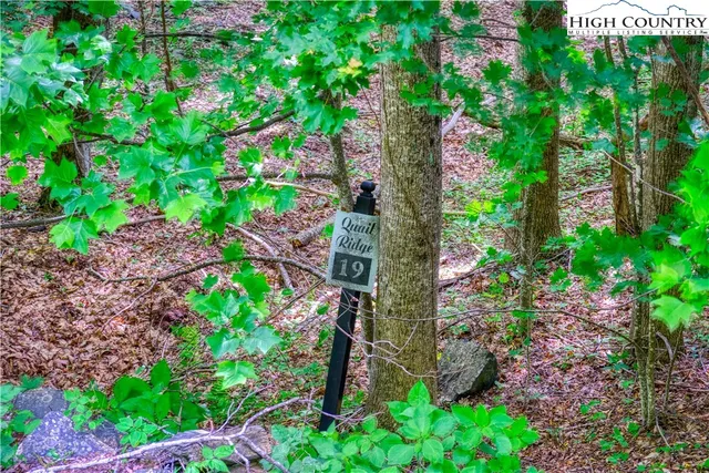 $24,000 | Lot 19 Quail Ridge Drive, Fleetwood, NC 28626