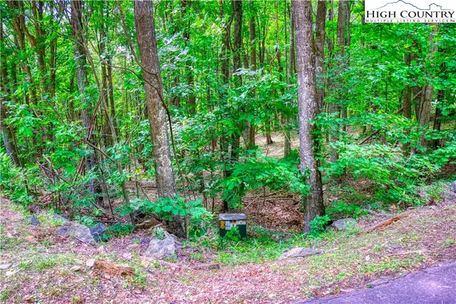$24,000 | Lot 19 Quail Ridge Drive, Fleetwood, NC 28626