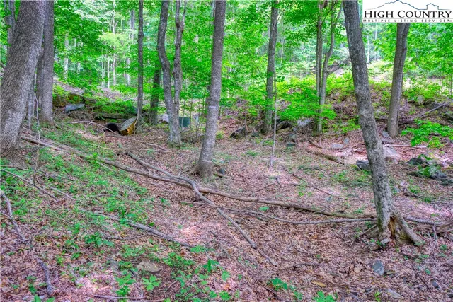 $24,000 | Lot 19 Quail Ridge Drive, Fleetwood, NC 28626