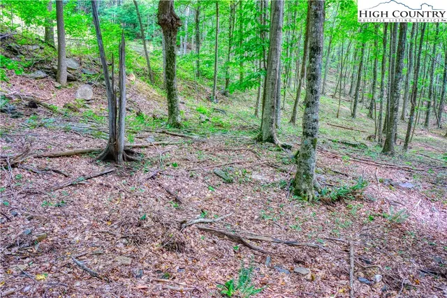 $24,000 | Lot 19 Quail Ridge Drive, Fleetwood, NC 28626