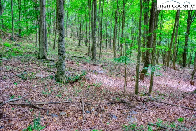 $24,000 | Lot 19 Quail Ridge Drive, Fleetwood, NC 28626