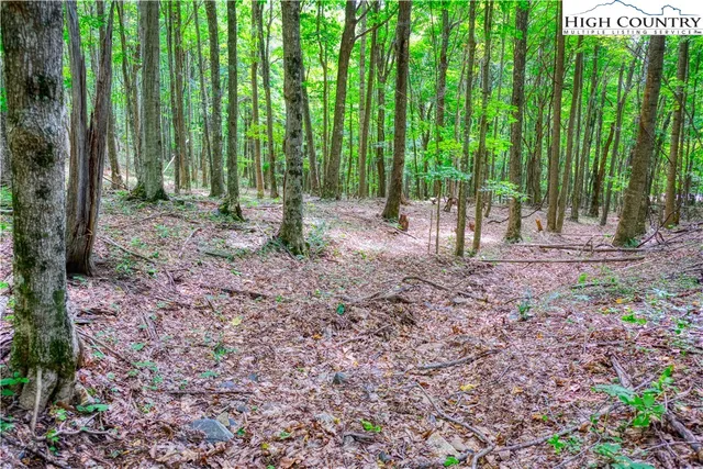 $24,000 | Lot 19 Quail Ridge Drive, Fleetwood, NC 28626