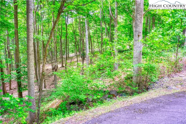 $24,000 | Lot 19 Quail Ridge Drive, Fleetwood, NC 28626