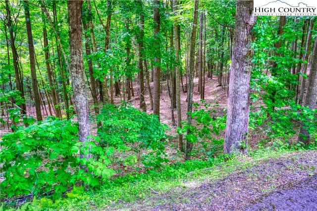 $24,000 | Lot 19 Quail Ridge Drive, Fleetwood, NC 28626