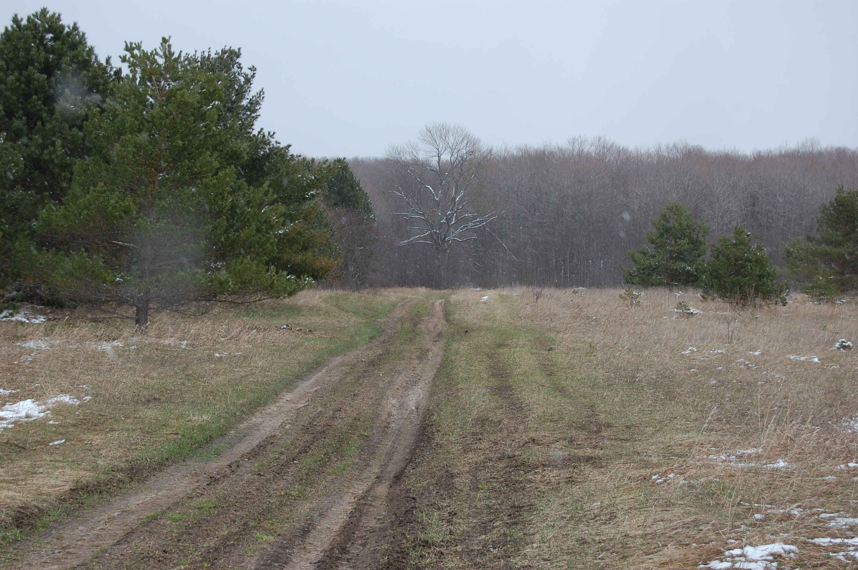 6990 Canby Road Levering, MI 49755 - Photo 3 of 7 Gallery Image 3