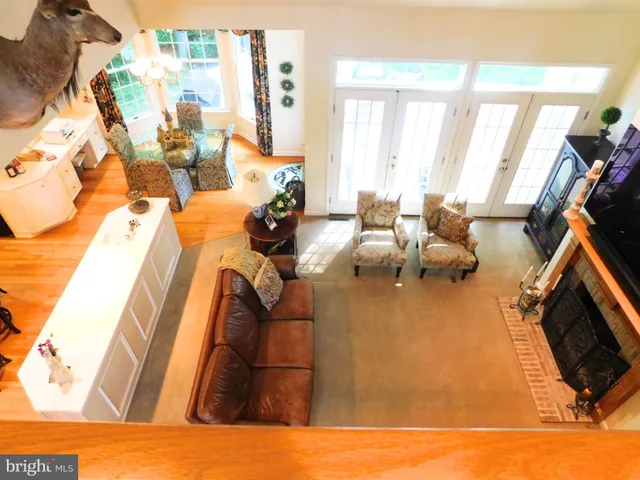 a view of a lush green forest