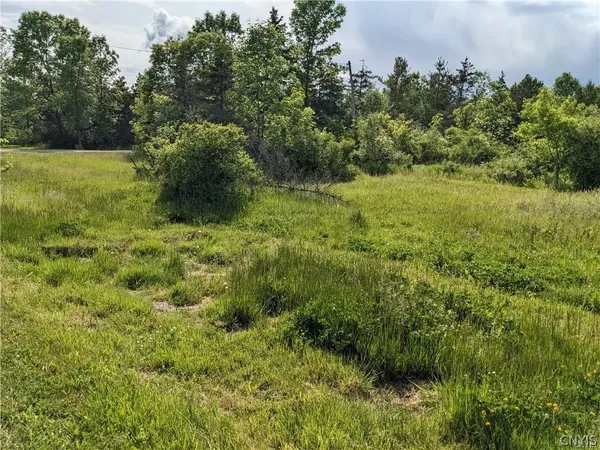 $39,900 | Old Town Springs Road, Chaumont, NY 13622