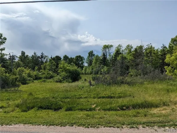 $39,900 | Old Town Springs Road, Chaumont, NY 13622