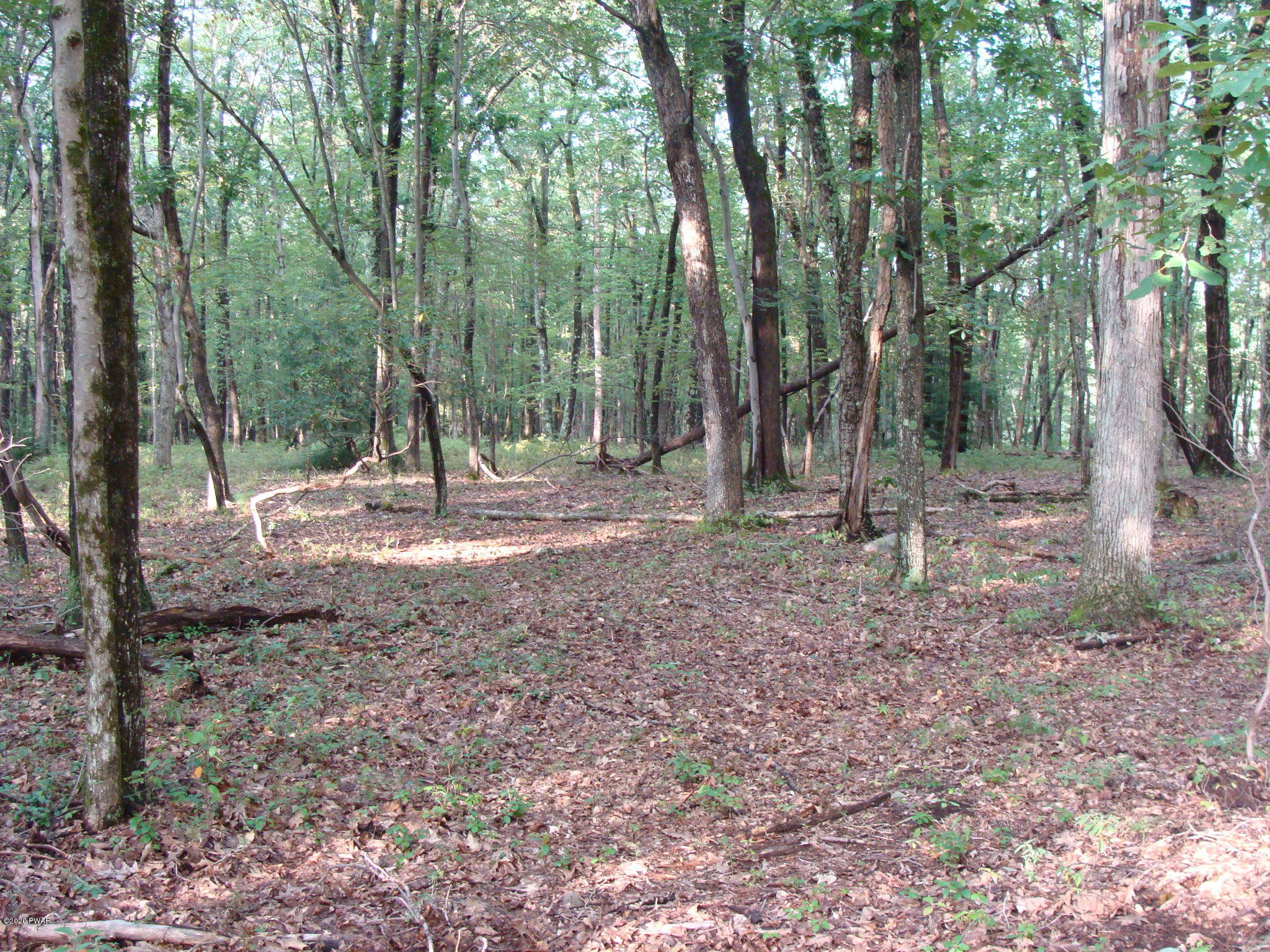 Perry Road Greentown, PA 18426 - Photo 4 of 4