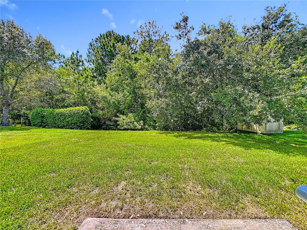 11963 Bentry Street Orlando, FL 32824 - Photo 70 of 80 a view of a field of grass and trees