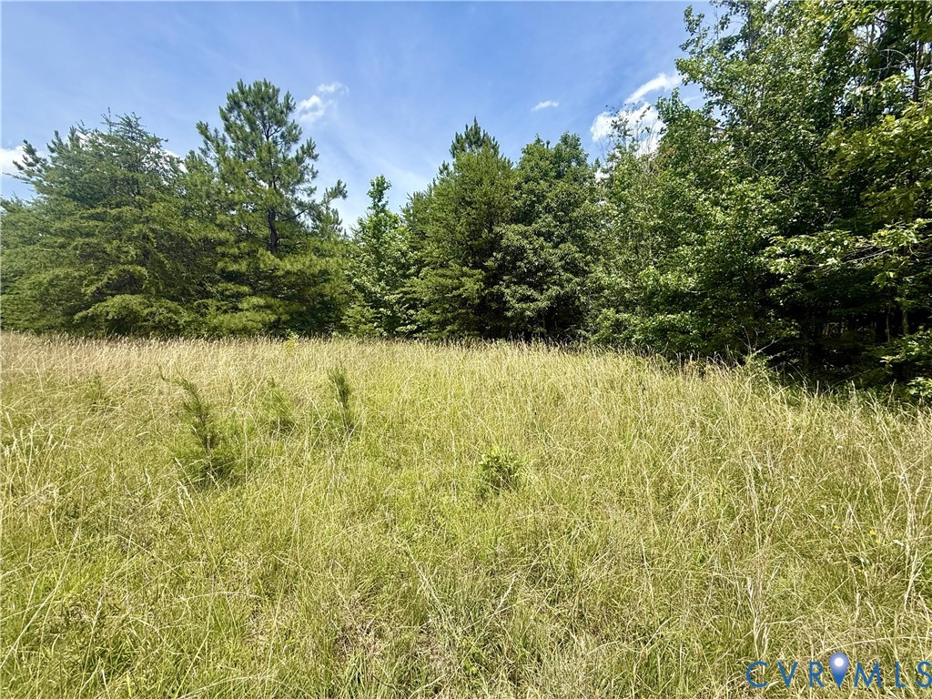 Lot 25 Whispering Wood Road Meherrin, VA 23954 - Photo 4 of 13