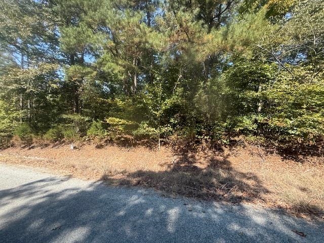 7 Butler Road Pinson, TN 38366 - Photo 11 of 19 View of tree filled area