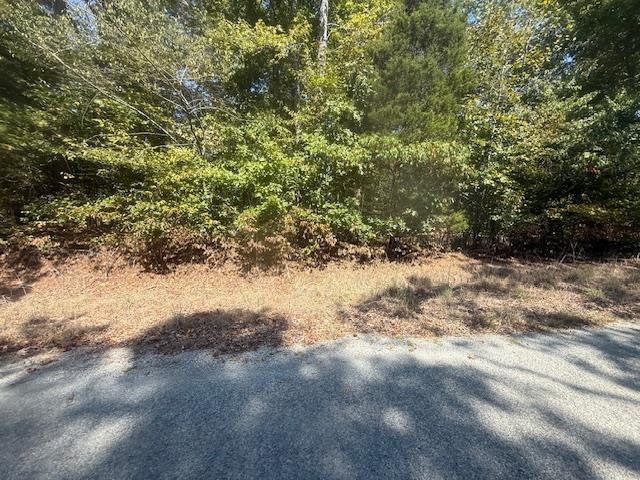 7 Butler Road Pinson, TN 38366 - Photo 12 of 19 View of tree filled area