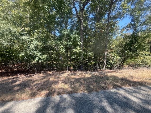 7 Butler Road Pinson, TN 38366 - Photo 13 of 19 View of yard with a forest view