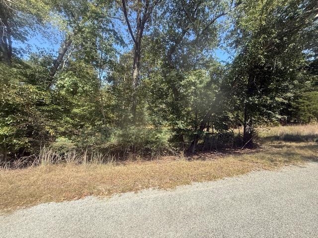 7 Butler Road Pinson, TN 38366 - Photo 14 of 19 View of nature