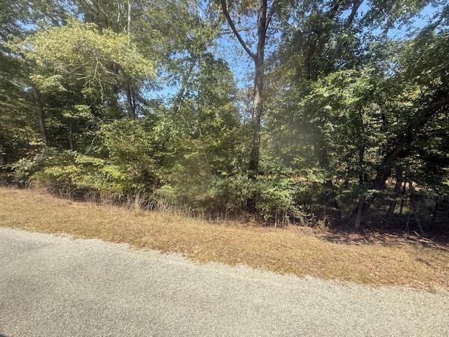 7 Butler Road Pinson, TN 38366 - Photo 15 of 19 View of nature