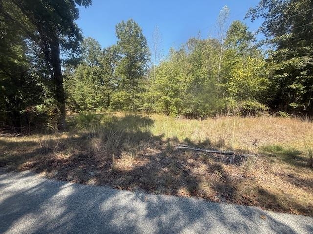 7 Butler Road Pinson, TN 38366 - Photo 16 of 19 View of woods