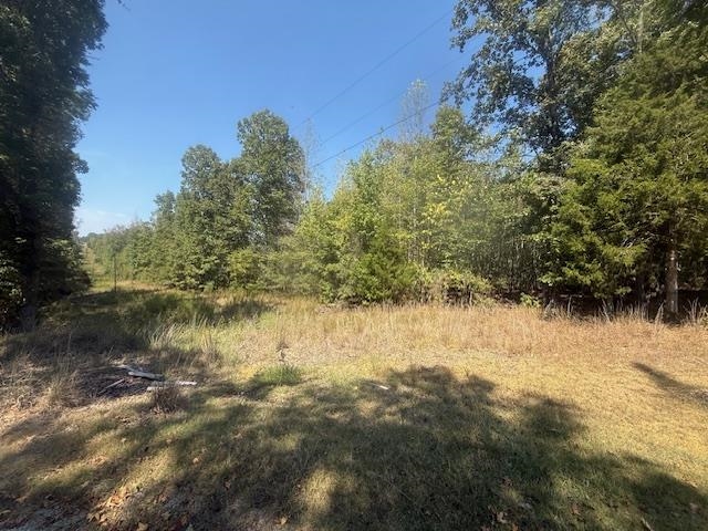 7 Butler Road Pinson, TN 38366 - Photo 17 of 19 View of woods