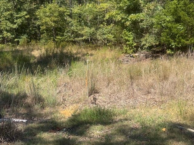 7 Butler Road Pinson, TN 38366 - Photo 18 of 19 View of nature