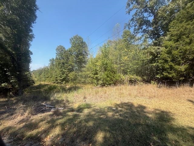 7 Butler Road Pinson, TN 38366 - Photo 19 of 19 View of wooded area