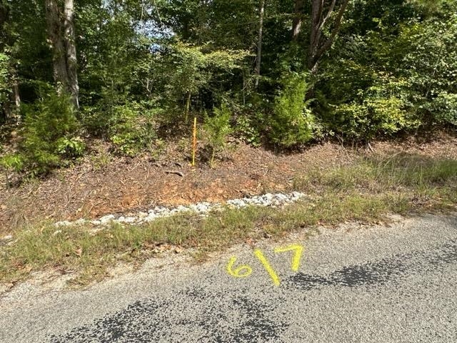 7 Butler Road Pinson, TN 38366 - Photo 2 of 19 View of local wilderness