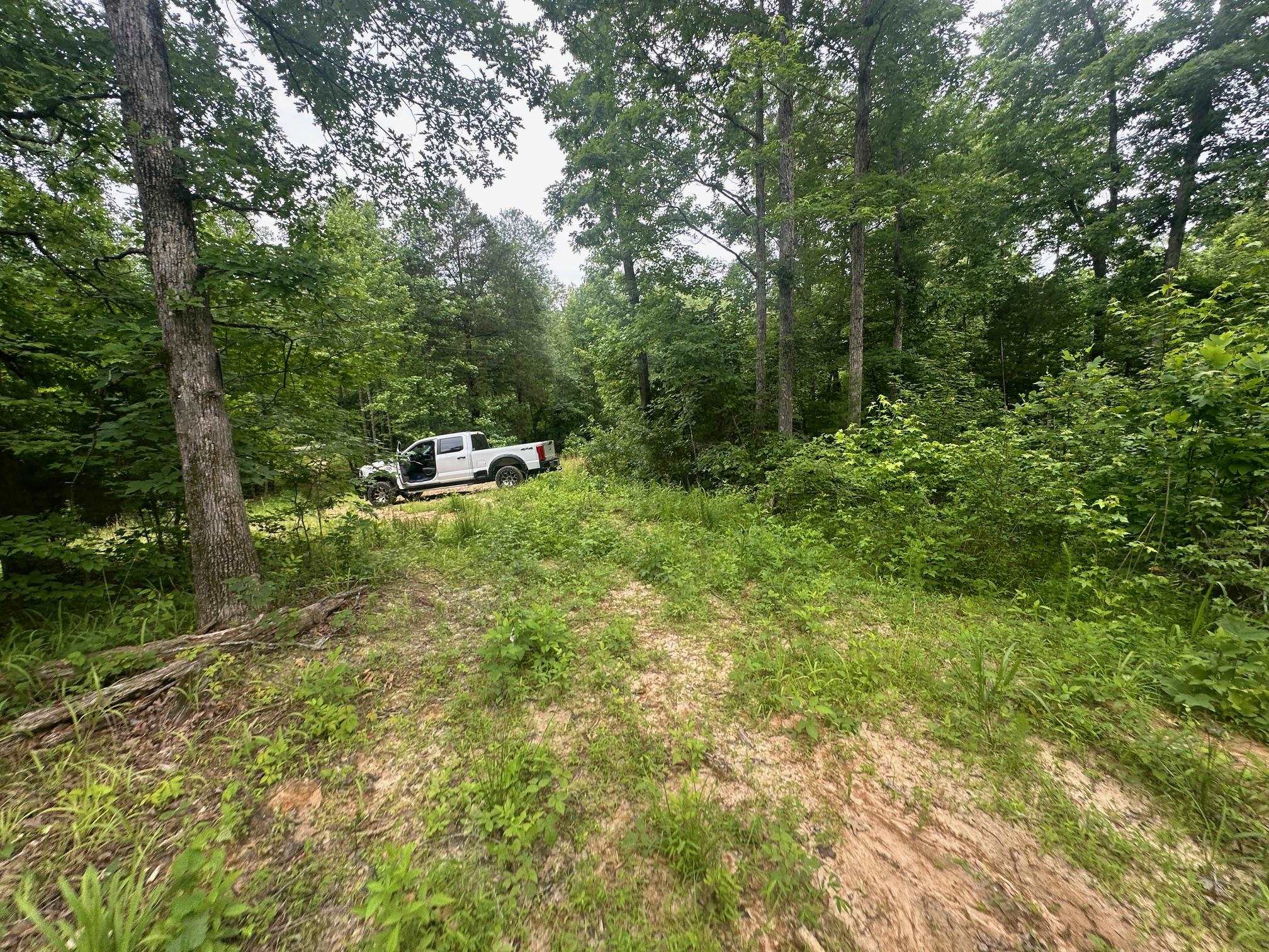 7 Butler Road Pinson, TN 38366 - Photo 6 of 19 View of yard featuring a forest view