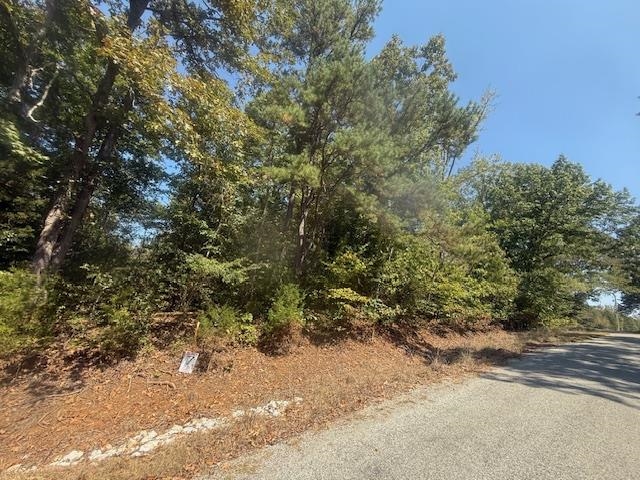 7 Butler Road Pinson, TN 38366 - Photo 8 of 19 View of asphalt road