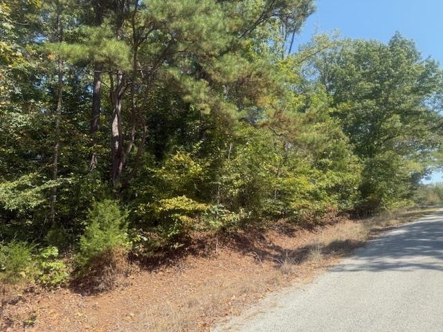 7 Butler Road Pinson, TN 38366 - Photo 9 of 19 View of asphalt road with a forest view