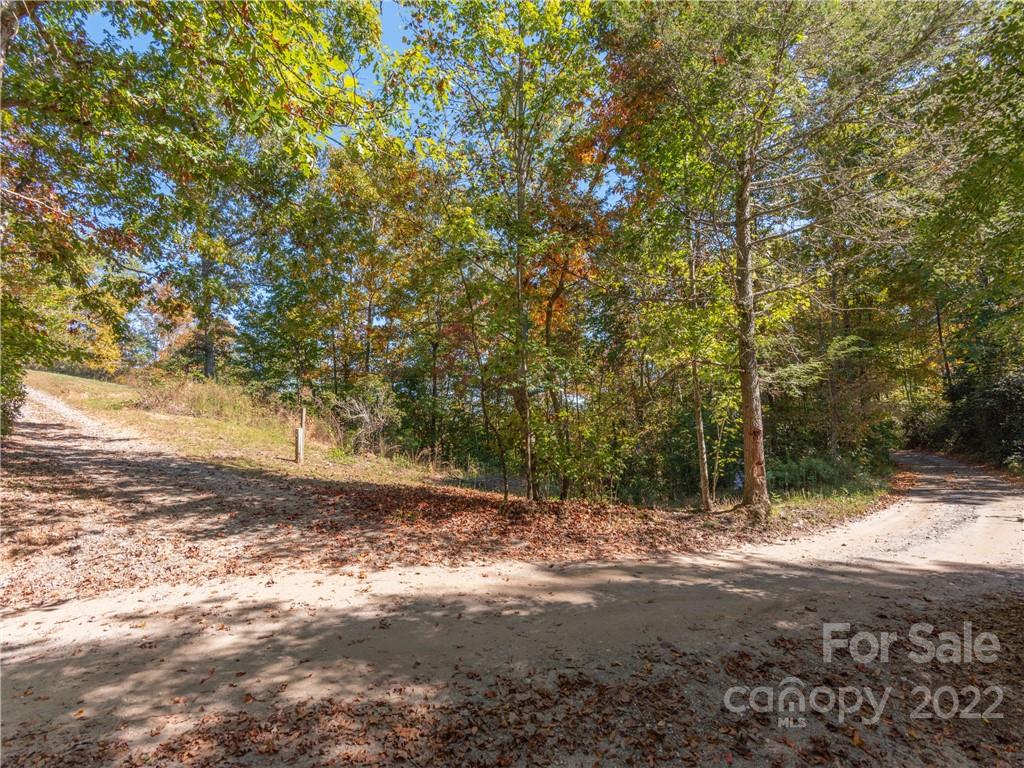 0 Cowee Tunl Road Sylva, NC 28779 - Photo 4 of 8 a view of a yard with a tree
