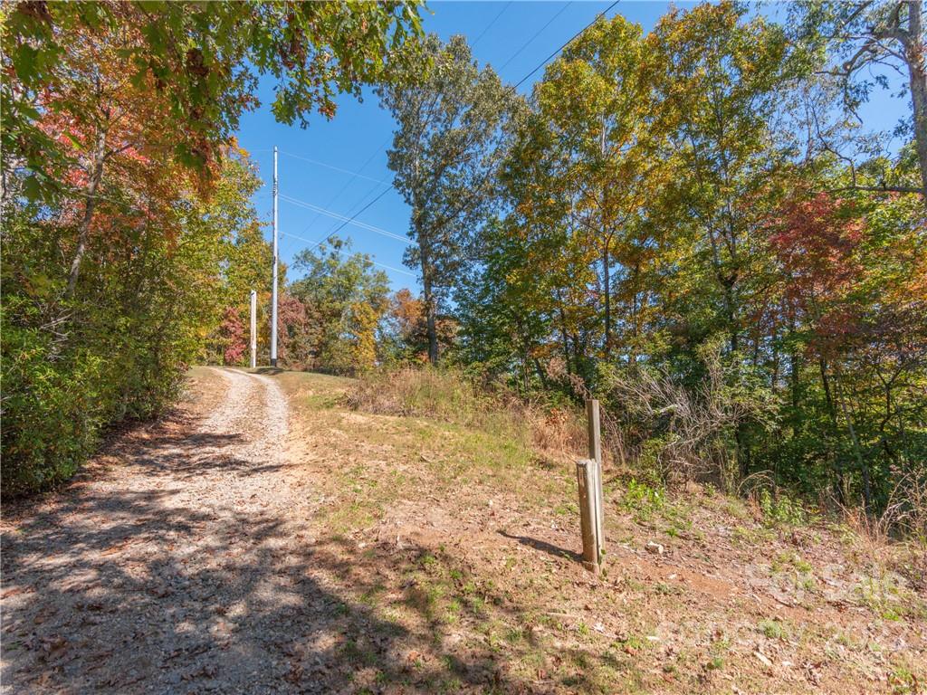 0 Cowee Tunl Road Sylva, NC 28779 - Photo 5 of 8 a view of a yard with trees