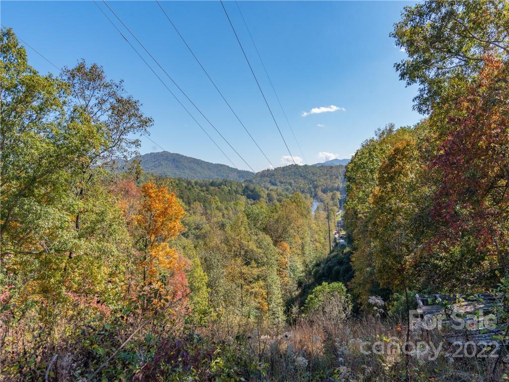 0 Cowee Tunl Road Sylva, NC 28779 - Photo 6 of 8 a view of a bunch of trees and bushes