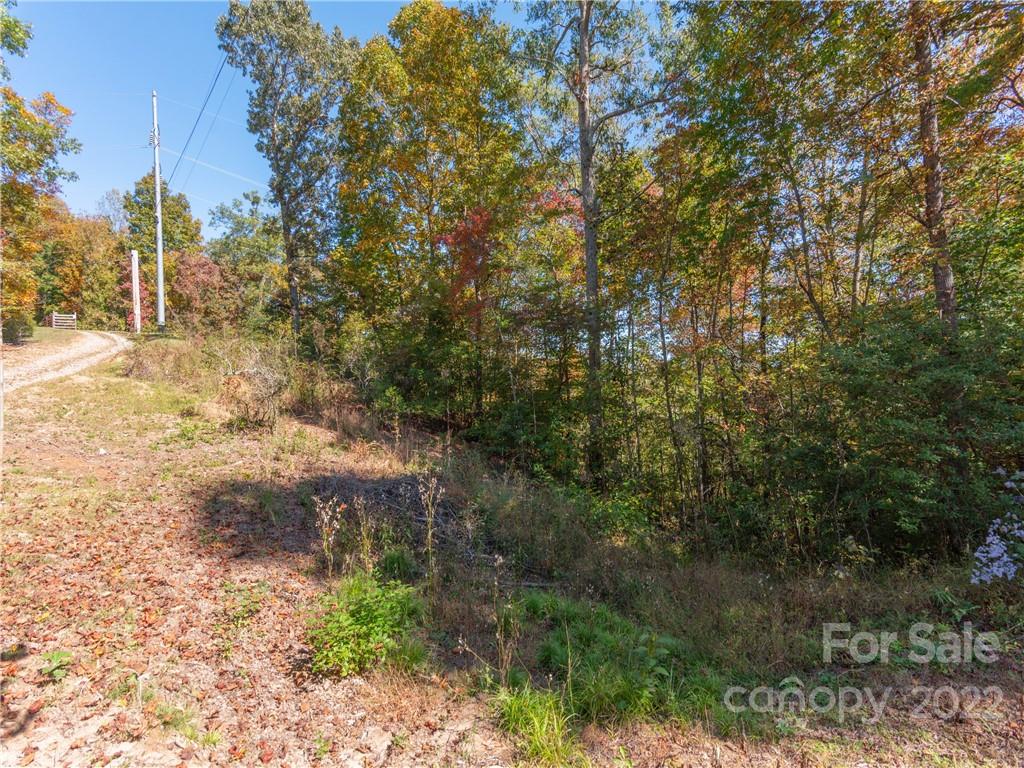 0 Cowee Tunl Road Sylva, NC 28779 - Photo 8 of 8 a view of a yard with trees