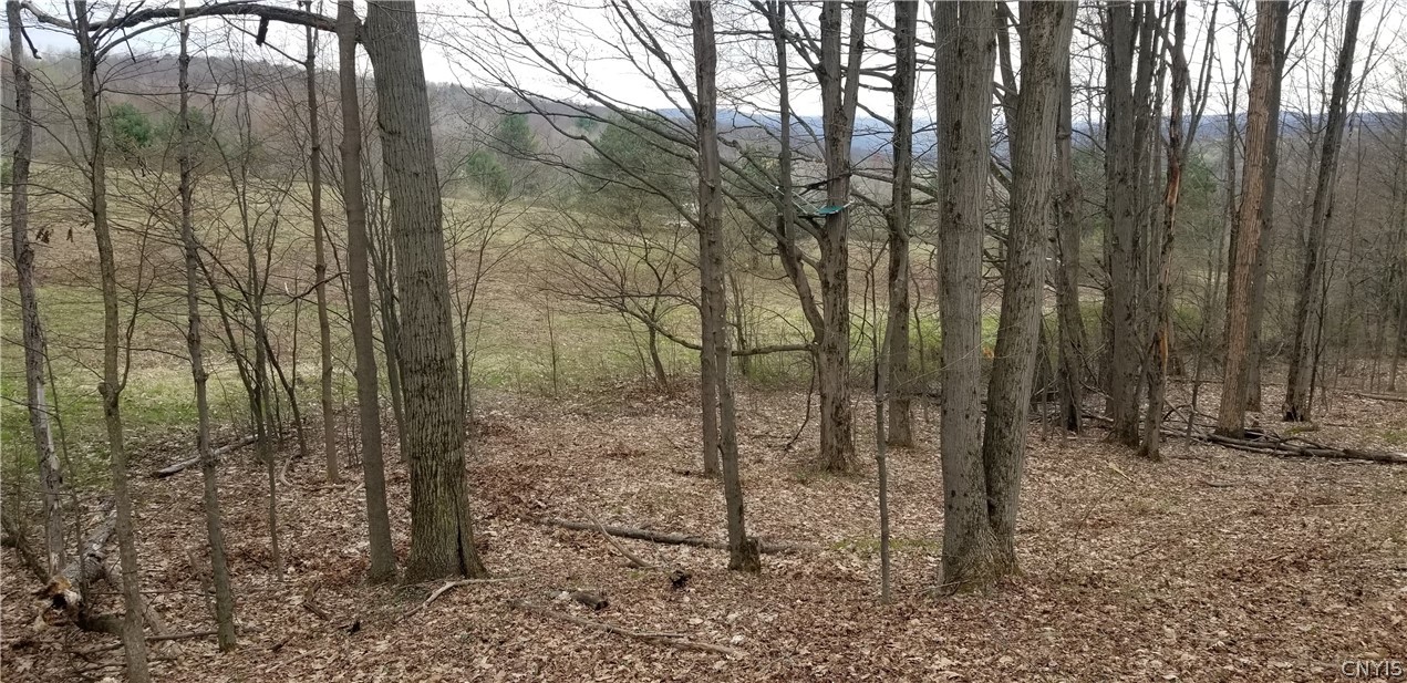 0 Doolittle Road Lockwood, NY 14859 - Photo 11 of 37