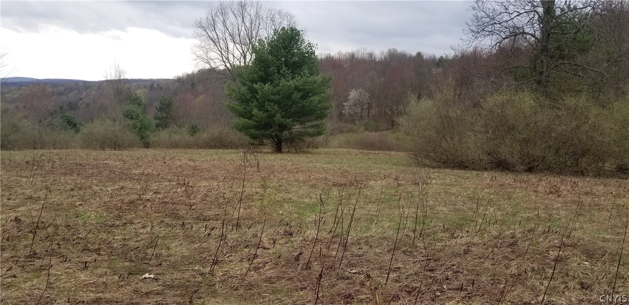 0 Doolittle Road Lockwood, NY 14859 - Photo 13 of 37