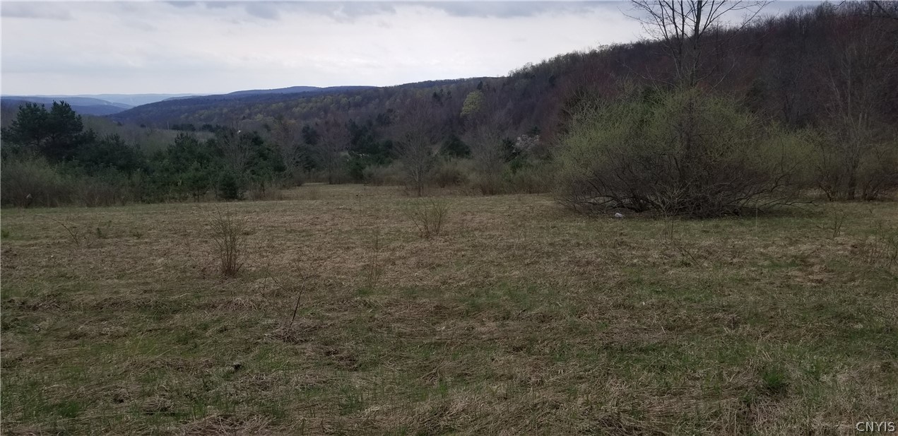 0 Doolittle Road Lockwood, NY 14859 - Photo 14 of 37