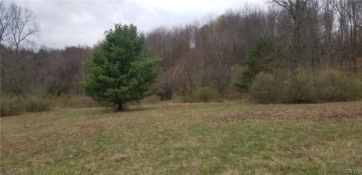 0 Doolittle Road Lockwood, NY 14859 - Photo 15 of 37