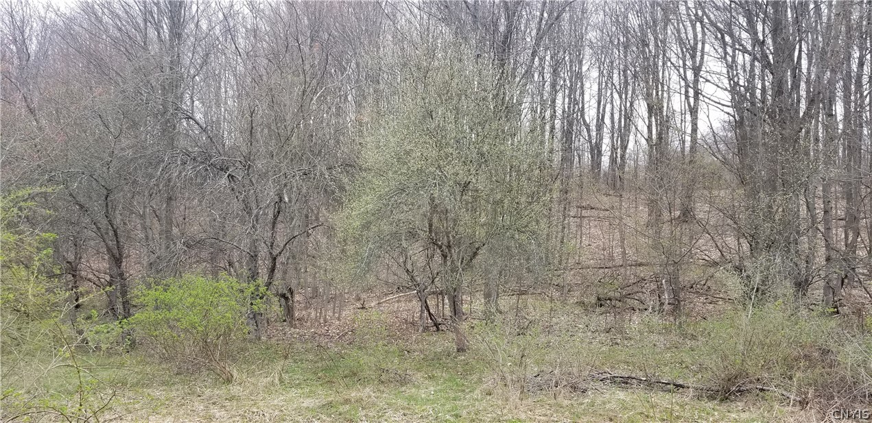 0 Doolittle Road Lockwood, NY 14859 - Photo 16 of 37