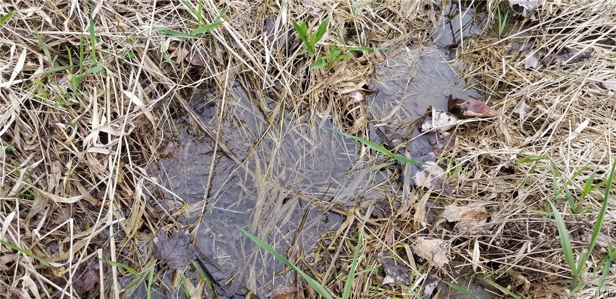 0 Doolittle Road Lockwood, NY 14859 - Photo 17 of 37