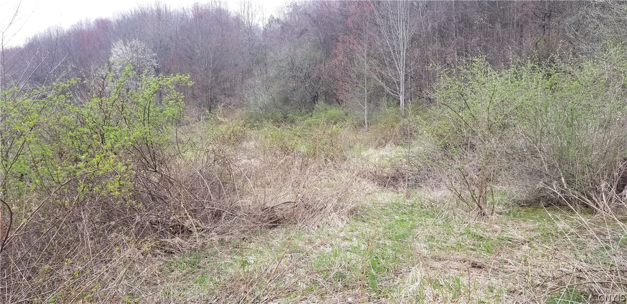 0 Doolittle Road Lockwood, NY 14859 - Photo 18 of 37