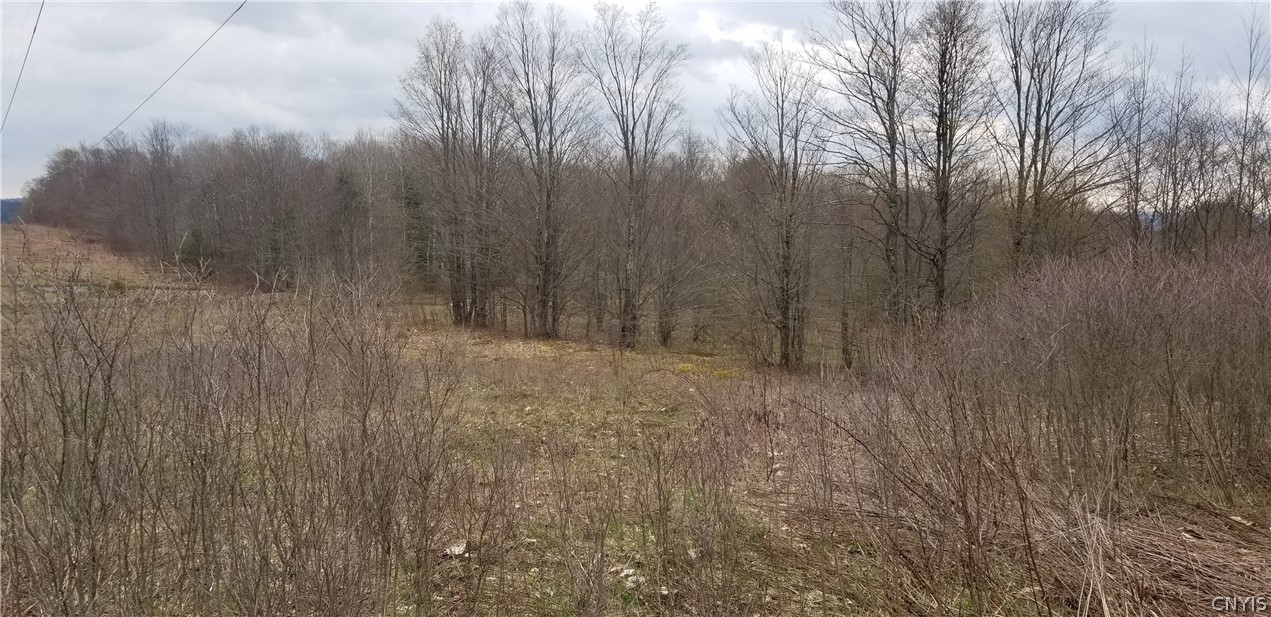 0 Doolittle Road Lockwood, NY 14859 - Photo 19 of 37