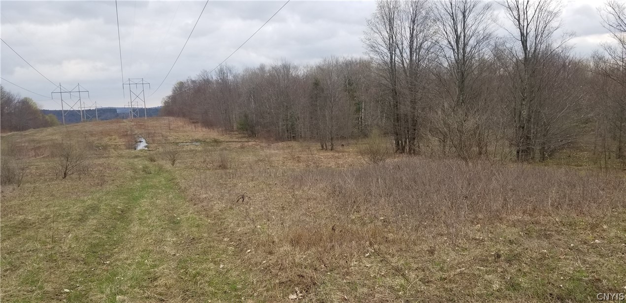 0 Doolittle Road Lockwood, NY 14859 - Photo 20 of 37