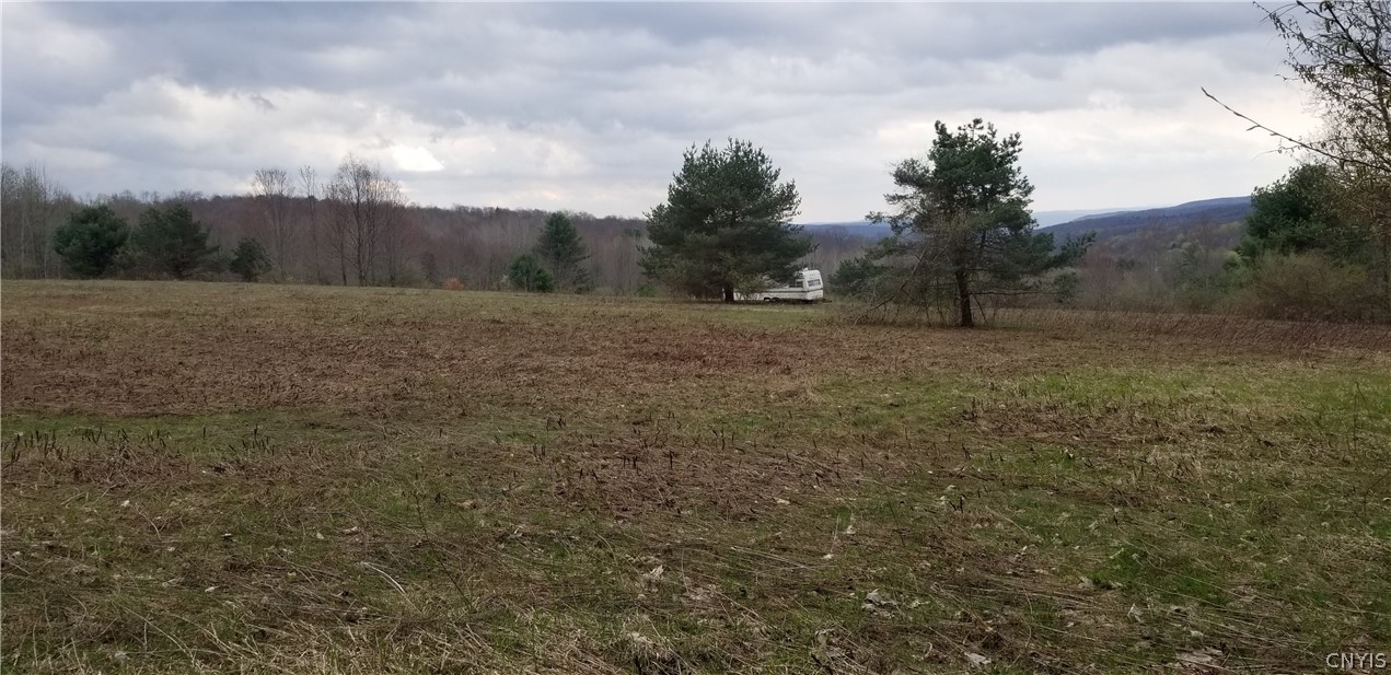 0 Doolittle Road Lockwood, NY 14859 - Photo 2 of 37