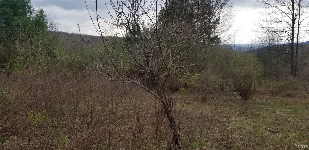 0 Doolittle Road Lockwood, NY 14859 - Photo 21 of 37