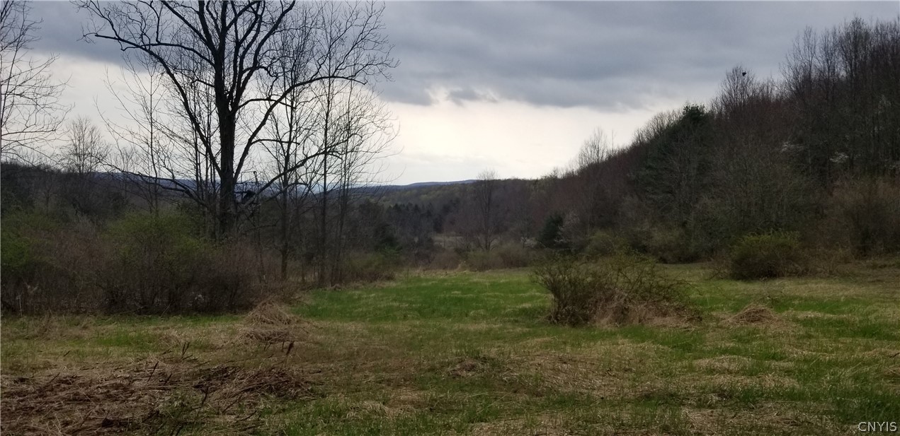 0 Doolittle Road Lockwood, NY 14859 - Photo 22 of 37