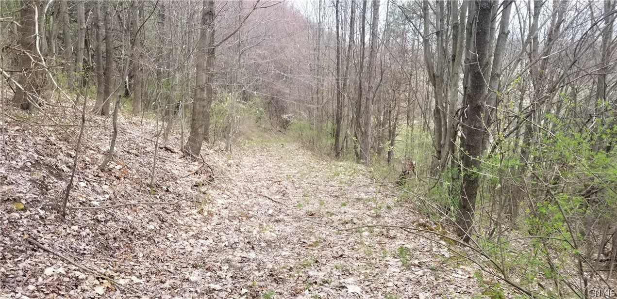 0 Doolittle Road Lockwood, NY 14859 - Photo 23 of 37