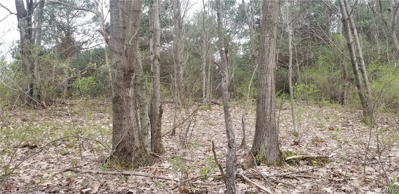 0 Doolittle Road Lockwood, NY 14859 - Photo 24 of 37