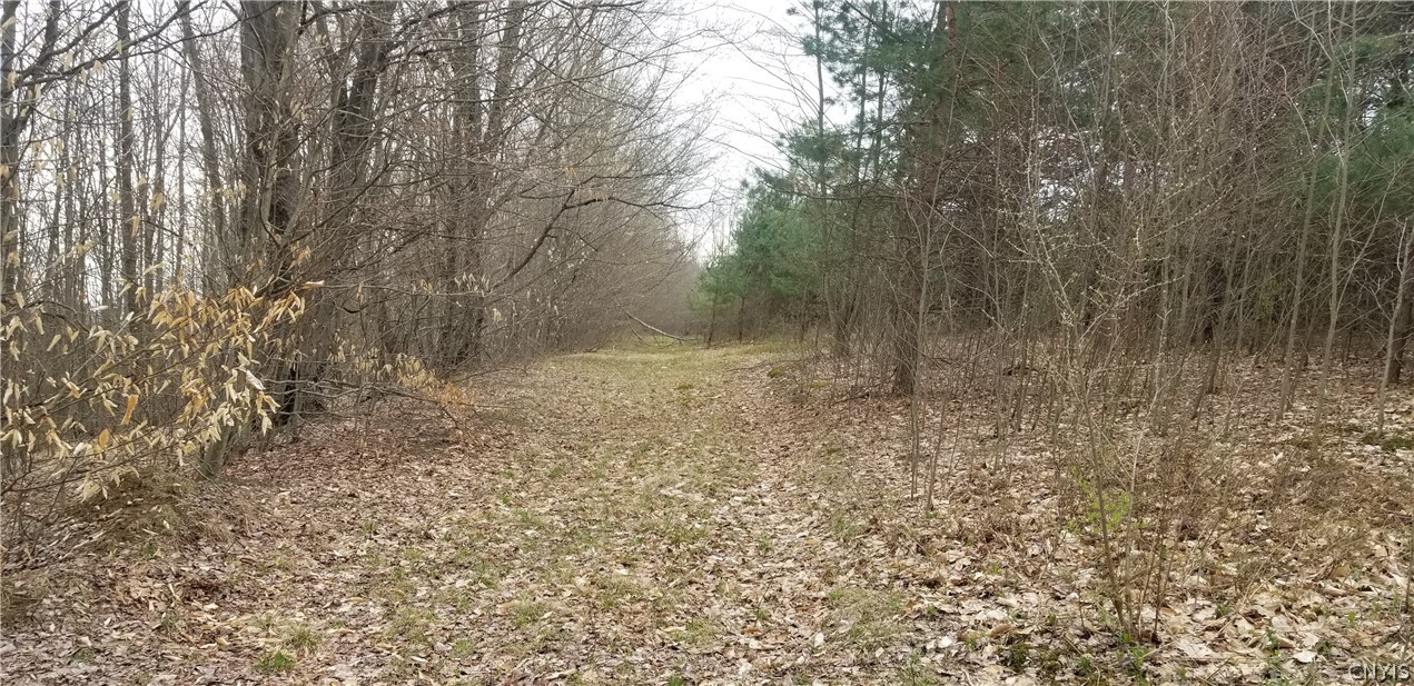 0 Doolittle Road Lockwood, NY 14859 - Photo 25 of 37